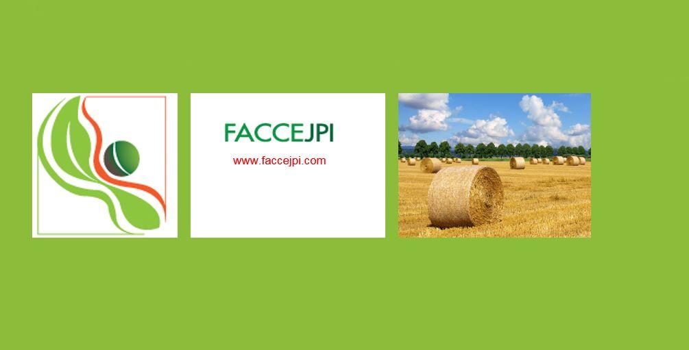 Logo FACCE JPI