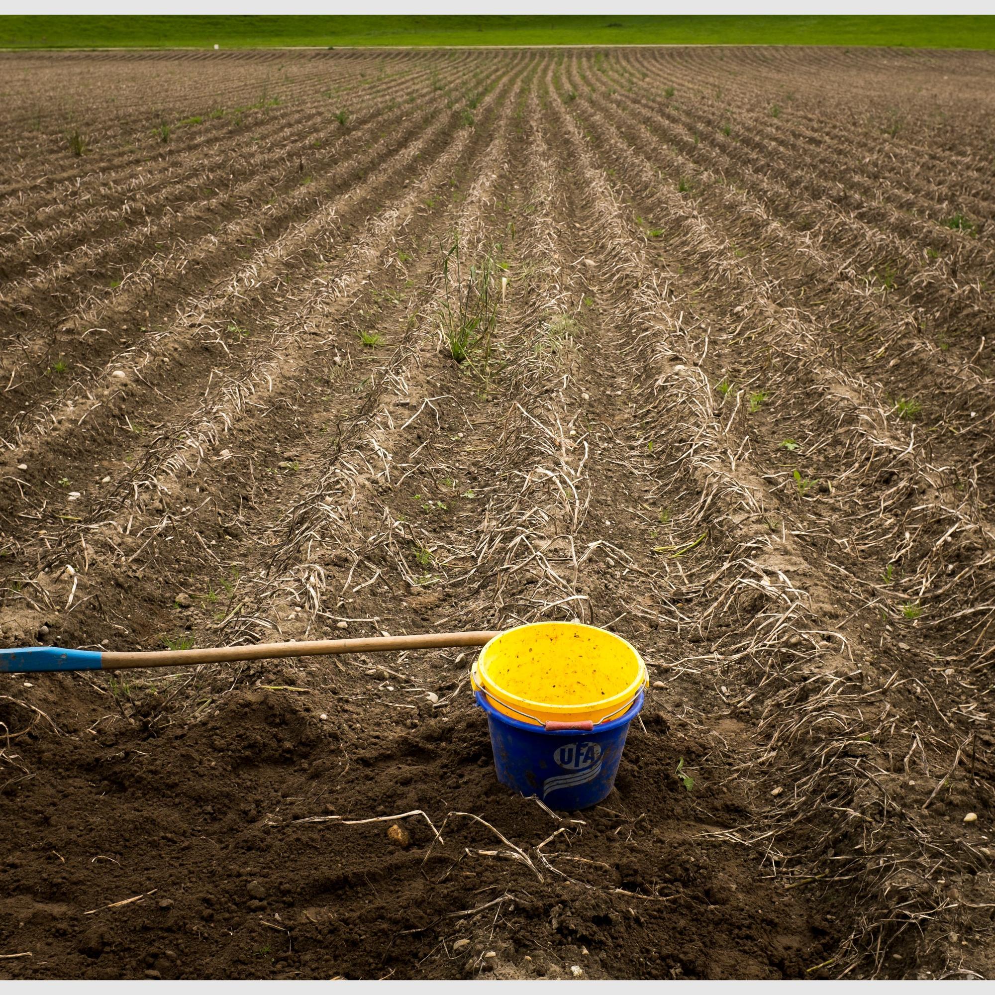 One of the entries for the photo competition: Tilling the land, Bärau BE