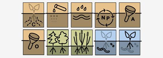 Nationale Bodenbeobachtung NABO