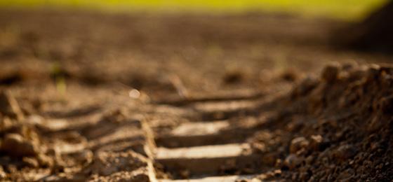 Bild von Prof. Josef Zeyer, Präsident der Leitungsgruppe des NFP 68