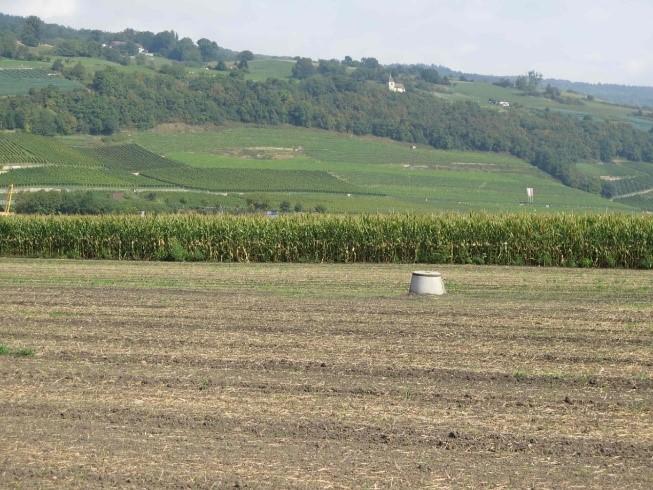 Vertical drain jutting out of a field (in Cressier)