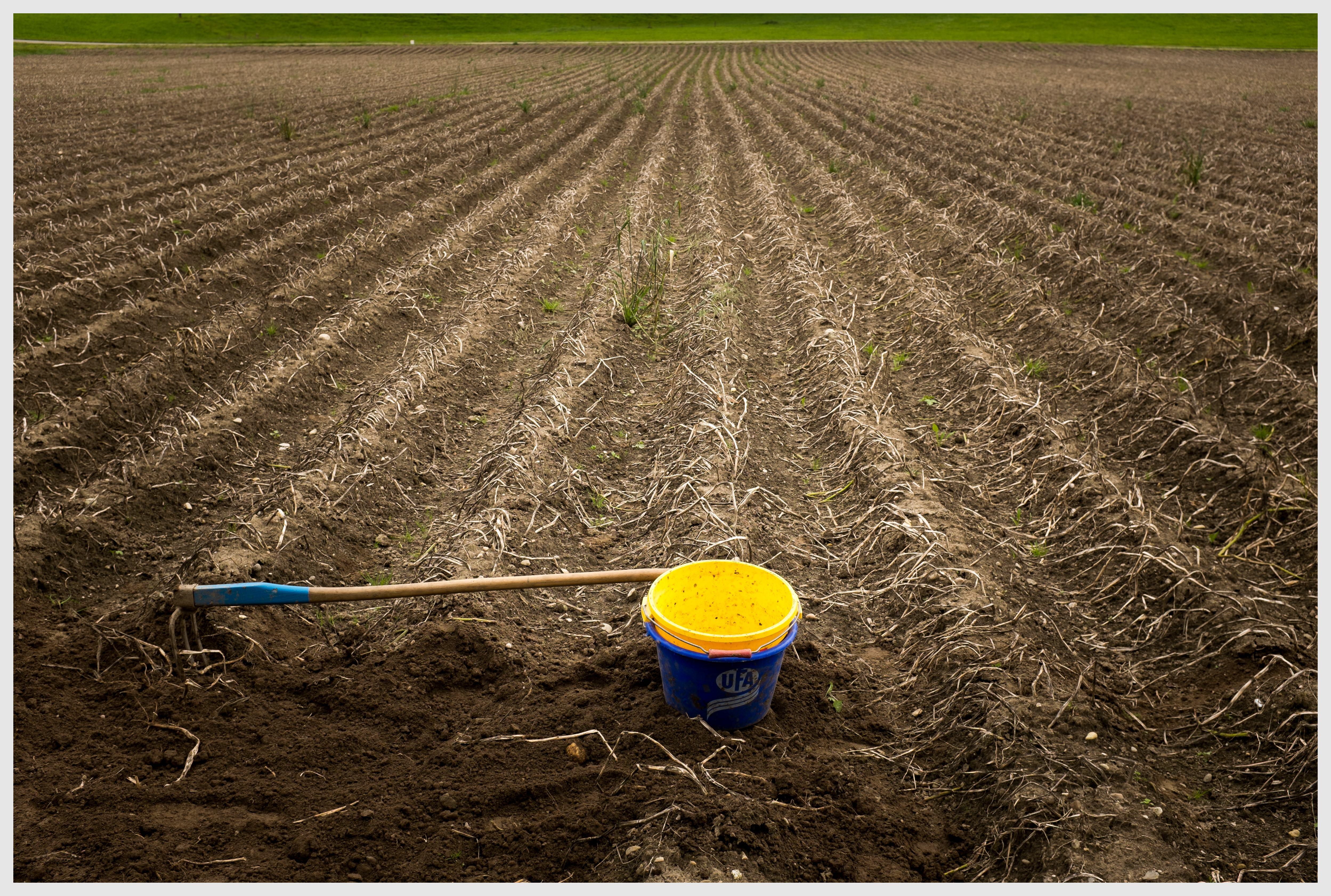 One of the entries for the photo competition: Tilling the land, Bärau BE